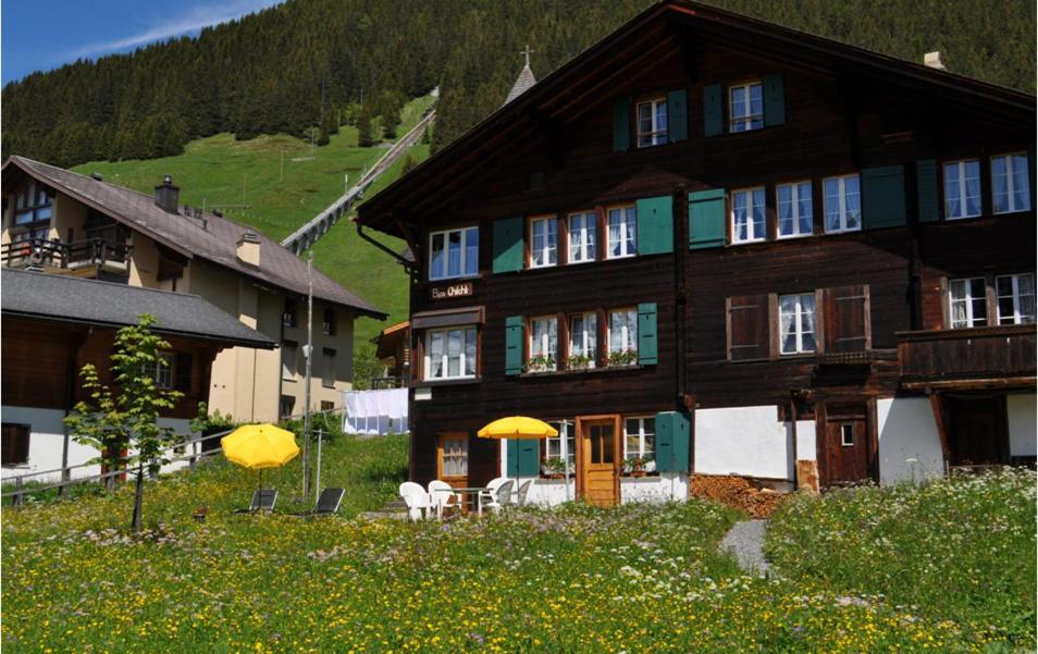 Chalet Bim Chilchli 뮈렌 외부 사진